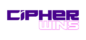 CipherWins logo 300 by 140 pixels